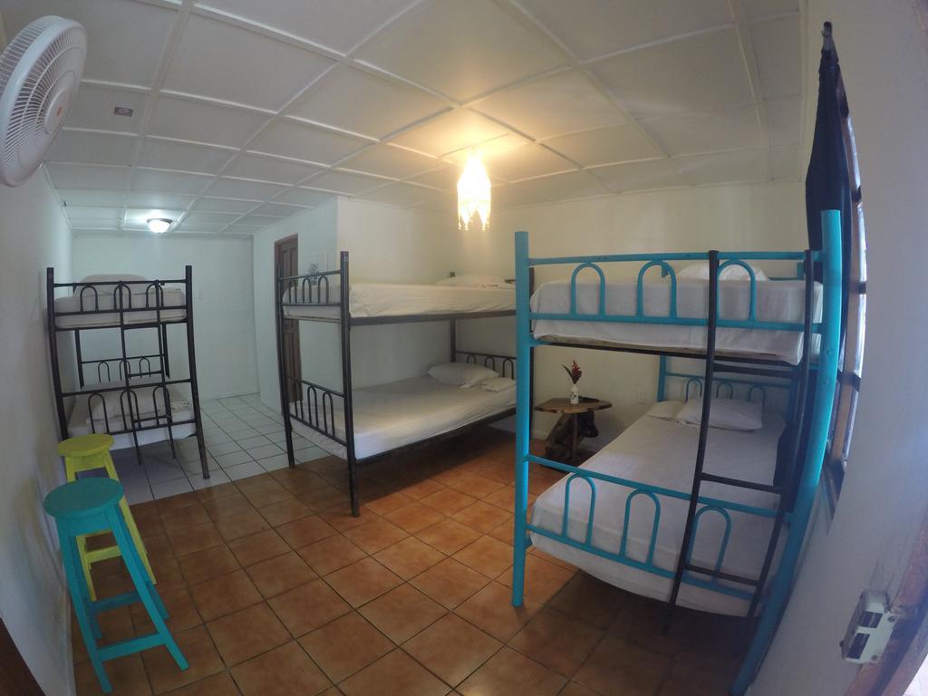 Beds On Bohio Hostel Jaco Bagian luar foto