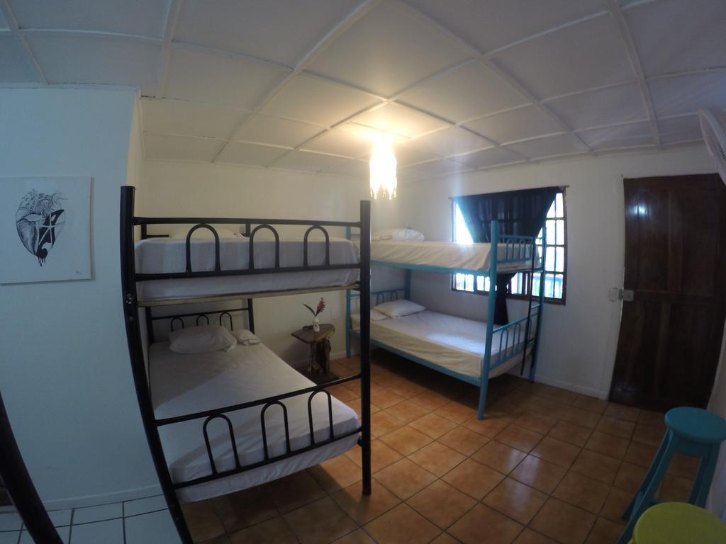 Beds On Bohio Hostel Jaco Bagian luar foto
