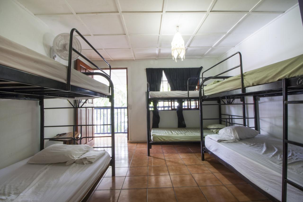 Beds On Bohio Hostel Jaco Bagian luar foto